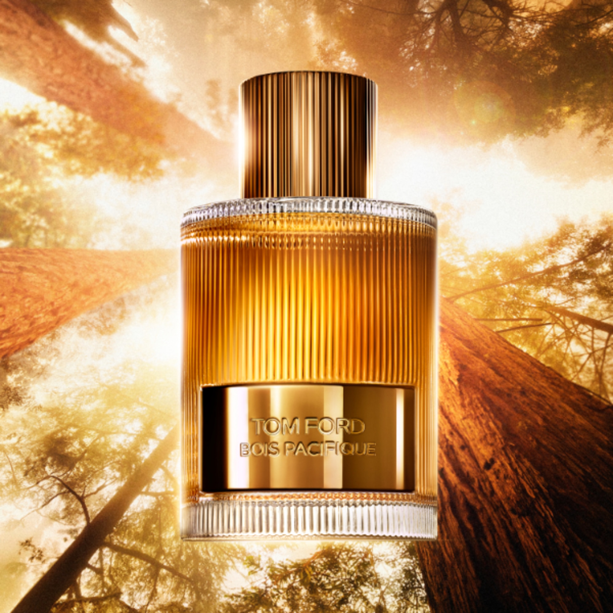100 ML Tom Ford BOIS PACIFIQUE Eau De Parfum  1 di 2 