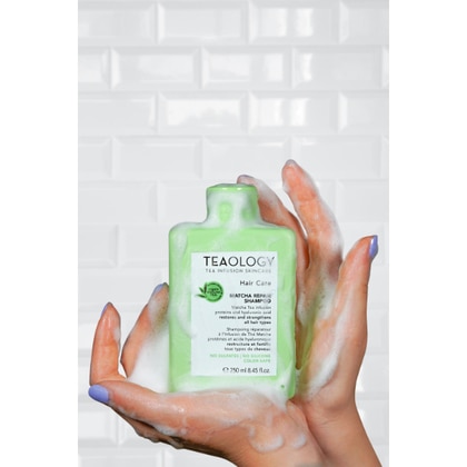 250 ML Teaology MATCHA REPAIR SHAMPOO Shampoo Ristrutturante  1 di 2 