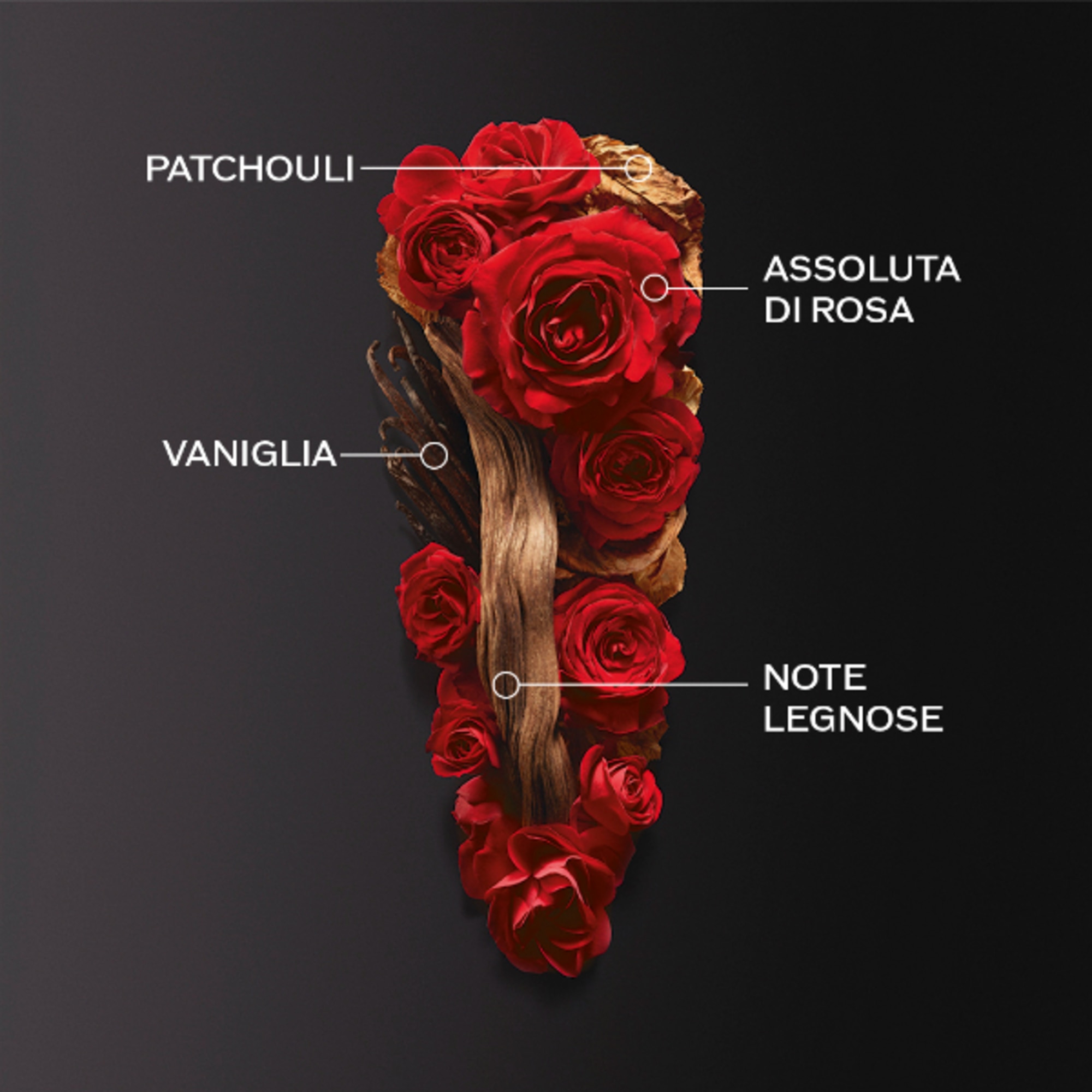 Eau De Parfum Intense