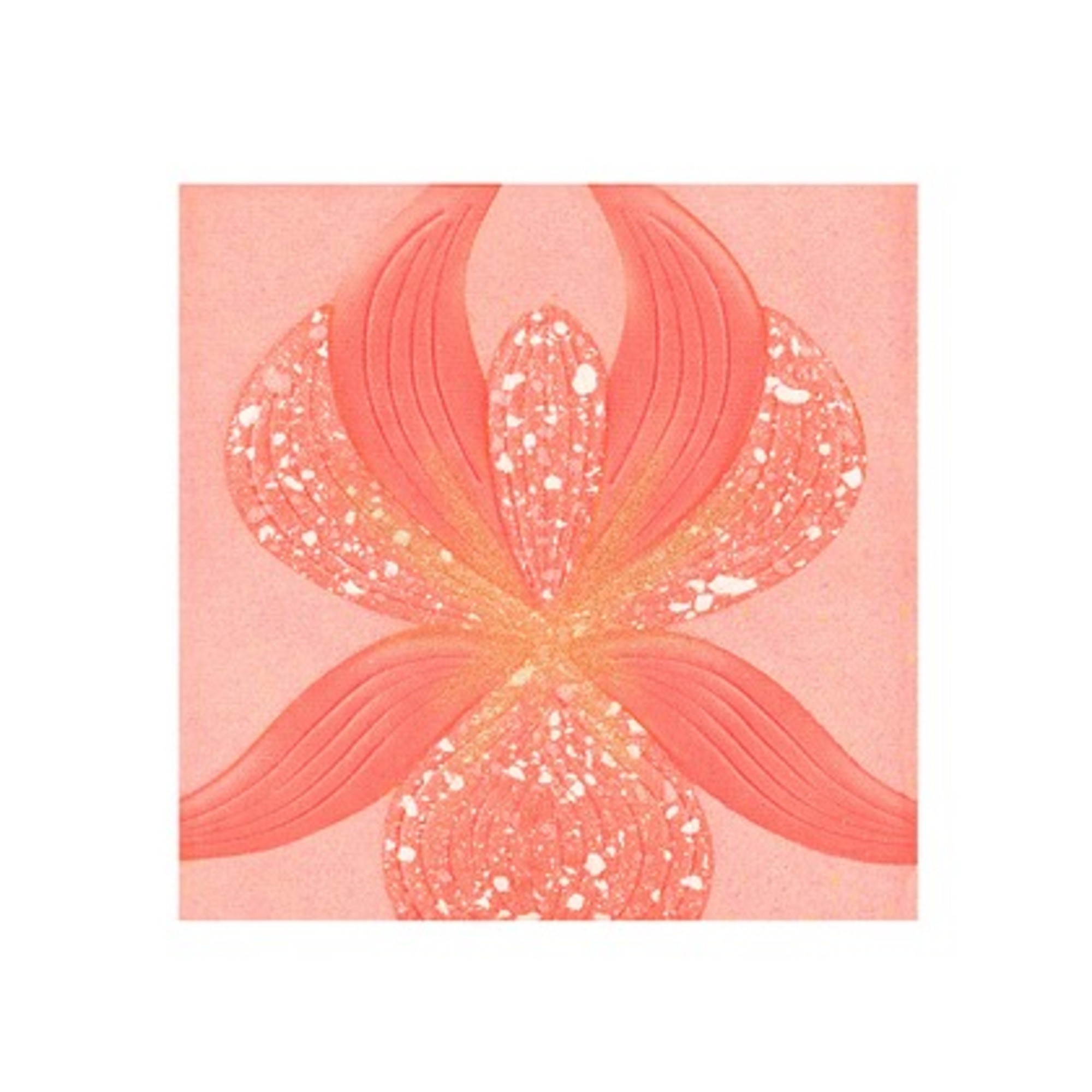 Blush Illuminante 3 Tonalità