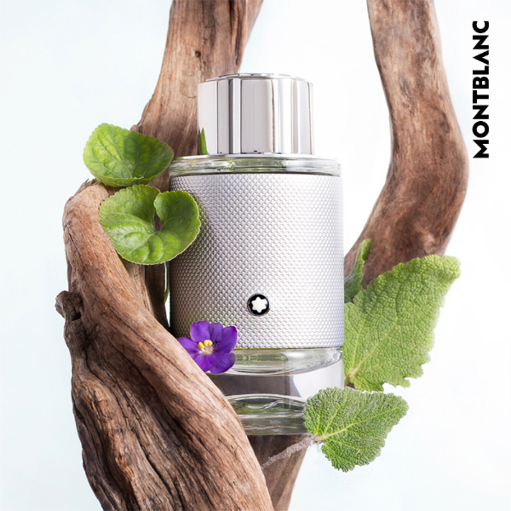 30 ML MONTBLANC EXPLORER PLATINUM Eau De Parfum  1 di 3 