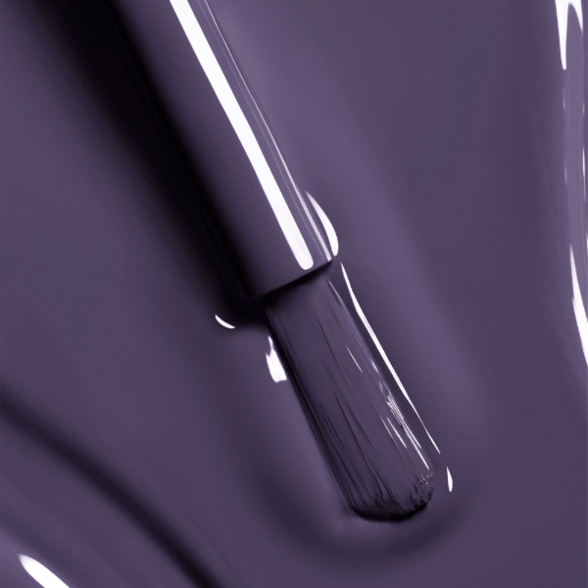 LUNGA TENUTA - Edizione Limitata