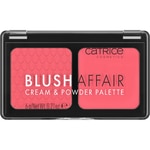 Cream & Powder Palette Blush