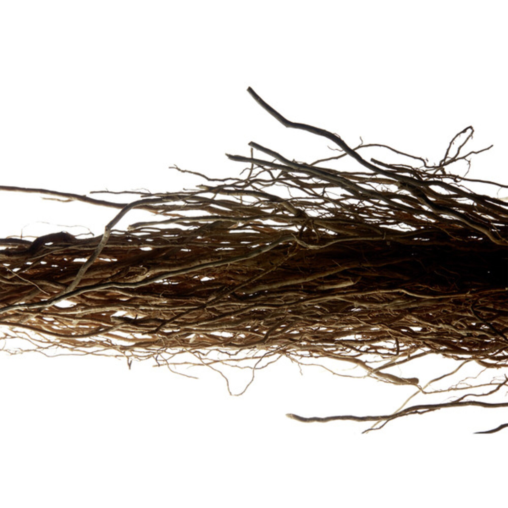 L’Homme Eau Toilette Vp 60 Ml